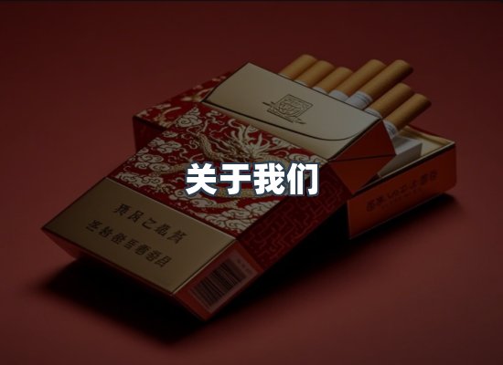 关于我们